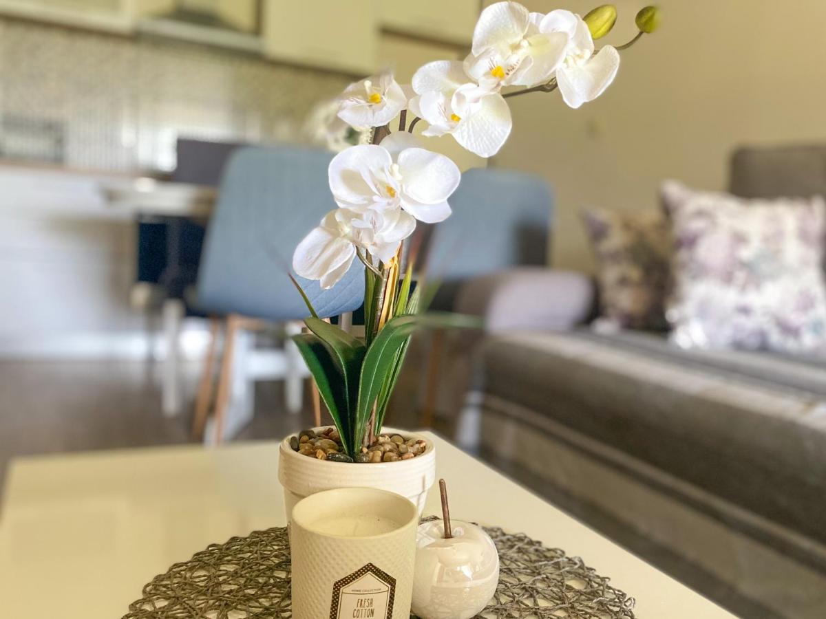 Apartment Laganini Sarica Struga エクステリア 写真